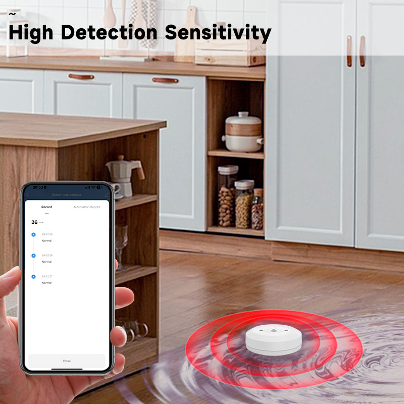 Tuya Zigbee2mqtt Water Immersi - đánh giá và giá Water Alarm Sensor