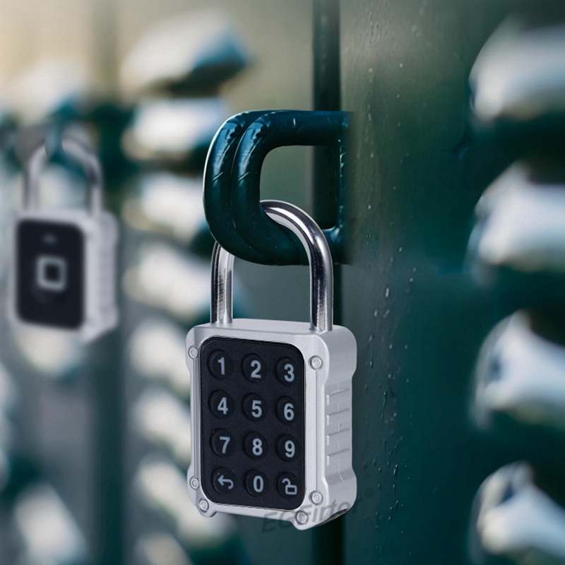 Tuya Bluetooth APP Remote Elec - đánh giá và giá Lockbox Key Secure