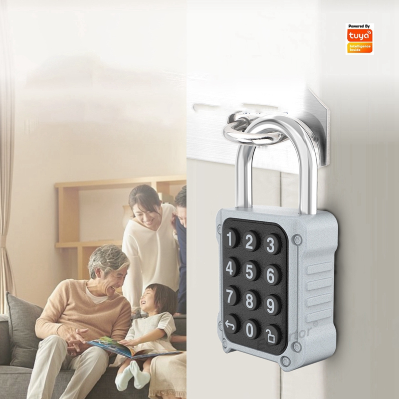 EGFirtor Tuya APP Electronic S - đánh giá và giá Lockbox Key Secure