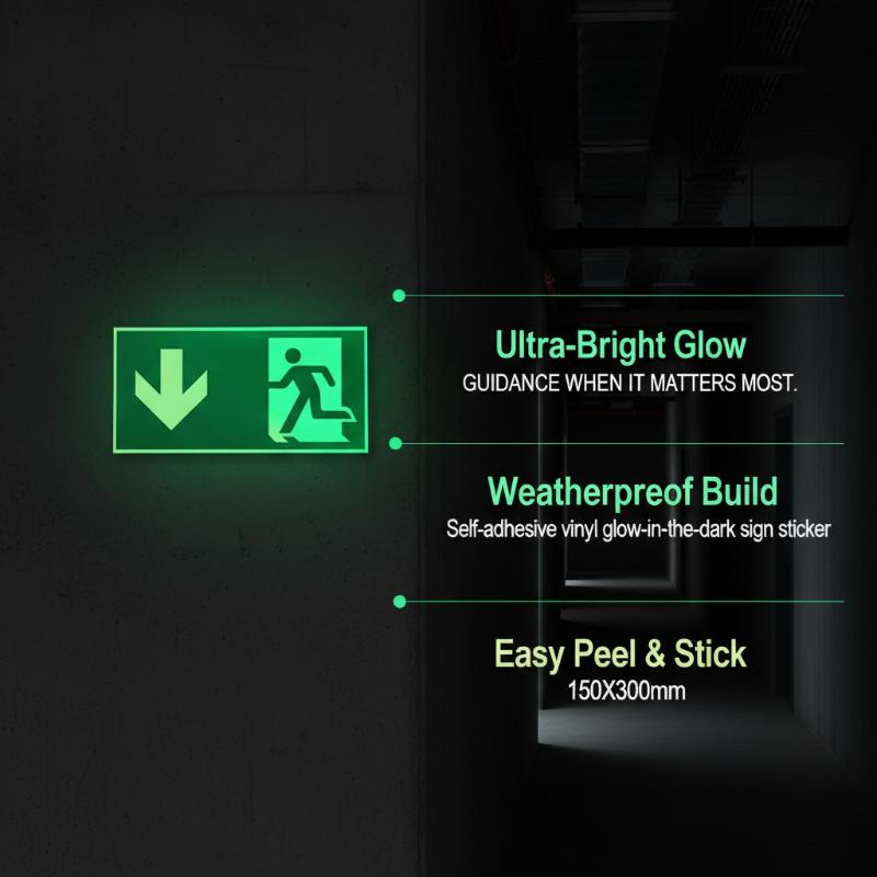 1 Sheet Glow-In-The-Dark Safet - đánh giá và giá Emergency Exit Sign