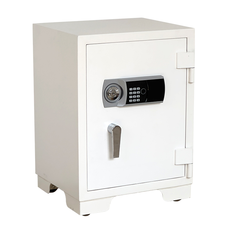 Bank Home Office Deposit Secur - đánh giá và giá Fire Safe Document
