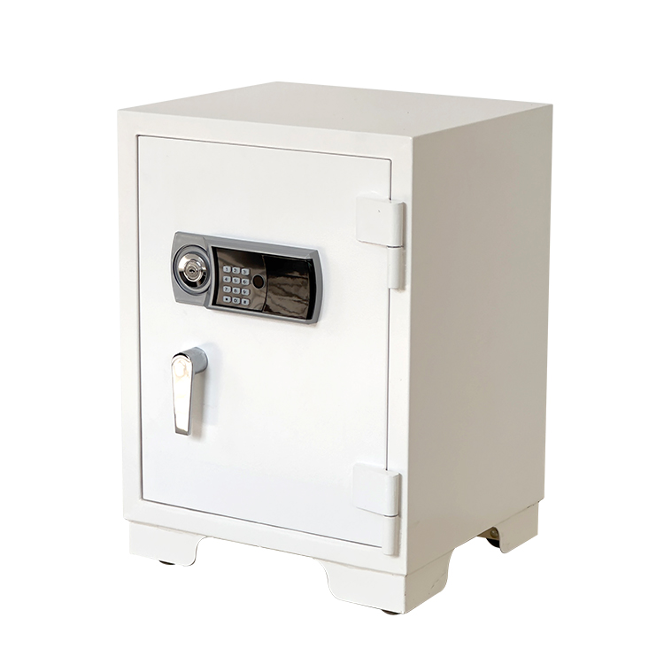 Bank Home Office Deposit Secur - đánh giá và giá Fire Safe Document